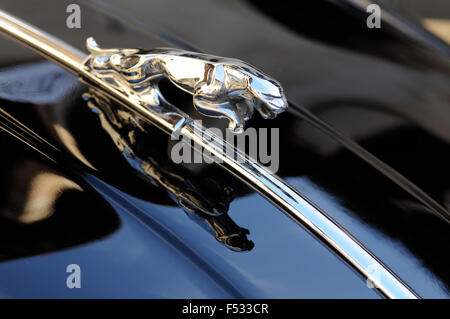 Jaguar auto Vintace, ornamento del cofano. Foto Stock