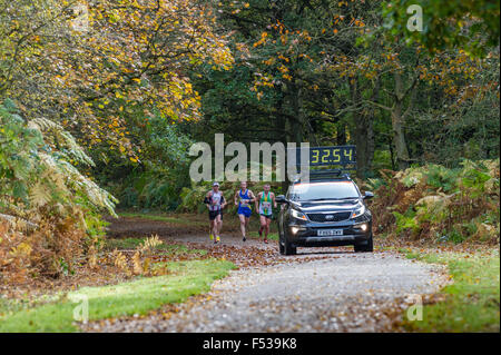 Leader nella mezza maratona seguire un ritmo temporizzato auto attraverso un viale alberato country park. Foto Stock