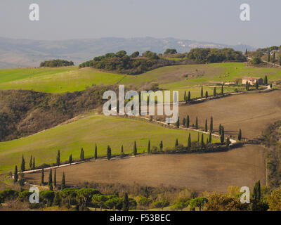 L'Europa, Italia, Toscana. A zig zag road vicino La Foce in Toscana. Foto Stock