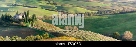 L'Europa, Italia, Toscana, San Quirico d'Orcia. Una vista panoramica di Il Belvedere House, una casa di campagna a San Quirico d'Orcia. Foto Stock