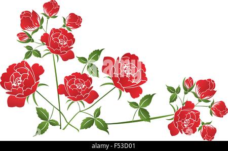 Bellissime rose rosse su sfondo bianco - illustrazione Illustrazione Vettoriale