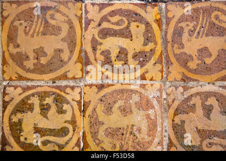 Dipinti medievali piastrelle del pavimento in pietra dentro la Cattedrale di Winchester, Hampshire, Inghilterra Foto Stock