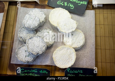 Selezione di formaggi di capra da Quebec, Jean Talon Mercato, Montreal, Quebec, Canada Foto Stock