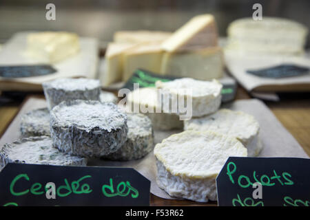 Selezione di formaggi di capra da Quebec, Jean Talon Mercato, Montreal, Quebec, Canada Foto Stock