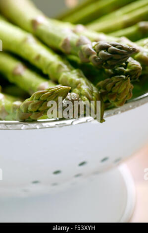 Appena lavato gli asparagi in uno scolapasta. Foto Stock