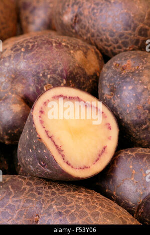 Potato Solanum tuberosum 'shetland Black' primo piano di patate Foto Stock