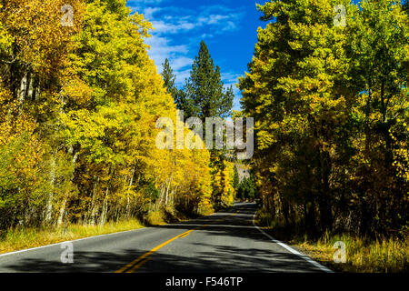 California's Highway 158 il giugno Lago di Loop nella Eastern Sierra Nevada nell'autunno del 2015 Foto Stock