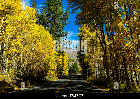California's Highway 158 il giugno Lago di Loop nella Eastern Sierra Nevada nell'autunno del 2015 Foto Stock