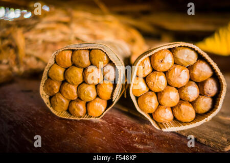 Sigari fatti a mano preparazione dal vivo, artigiano realizzato e pranzo Foto Stock