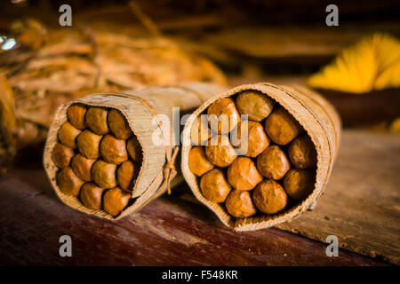 Sigari fatti a mano preparazione dal vivo, artigiano realizzato e pranzo Foto Stock