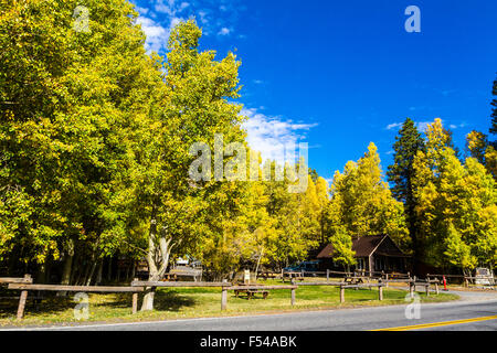 California's Highway 158 il giugno Lago di Loop nella Eastern Sierra Nevada il Silver Lake Resort. Foto Stock