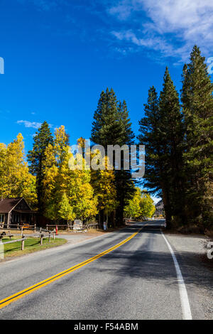 California's Highway 158 il giugno Lago di Loop nella Eastern Sierra Nevada nell'autunno del 2015 Foto Stock