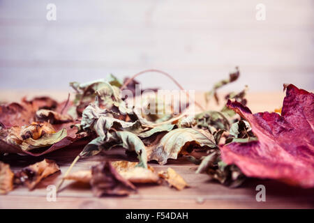 Foglie di autunno sulla scrivania Foto Stock