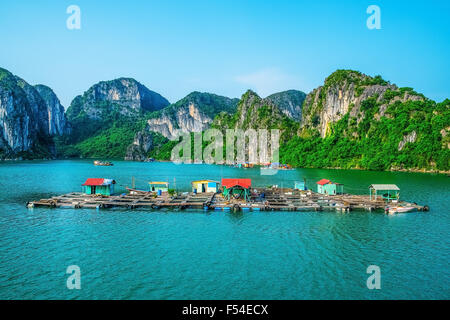 Flottante il villaggio di pesca nella baia di Halong, Vietnam, sud-est asiatico Foto Stock