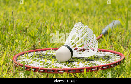 Badminton racchetta con un volano in alto in estate erba Foto Stock