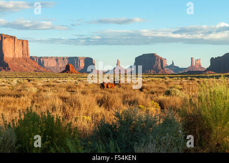 Wild Horse in Monument Valley, Arizona, Stati Uniti d'America Foto Stock