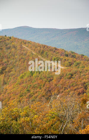 Talimena Scenic Byway in esecuzione sulla cresta della montagna, con alberi in colori autunnali Foto Stock