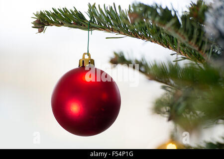 Rosso Pallina natale decorazione appeso a un albero di natale. Foto Stock