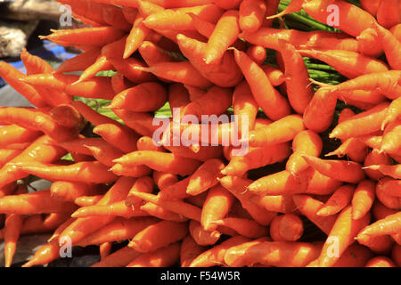 Molti mature crudo fresco carota arancione su un tavolo. Naturali di origine vegetale visualizzato sulla strada per la vendita in Munnar Kerala India Foto Stock