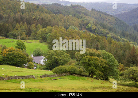 Inizio autunno su Betws y coed Foresta, Parco Nazionale di Snowdonia, Galles del Nord, Regno Unito Foto Stock