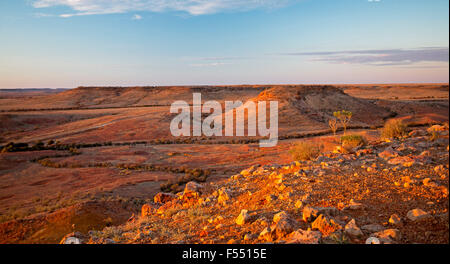 Panoramica outback australiano il paesaggio dalla collina lookout al tramonto, rocky mesas su vasta brulle pianure brulla allungamento all' orizzonte lontano Foto Stock