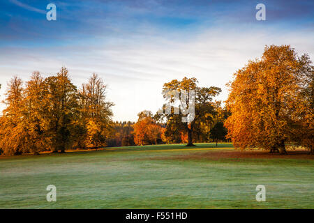 Il parco sul Bowood Station Wagon nel Wiltshire in autunno. Foto Stock