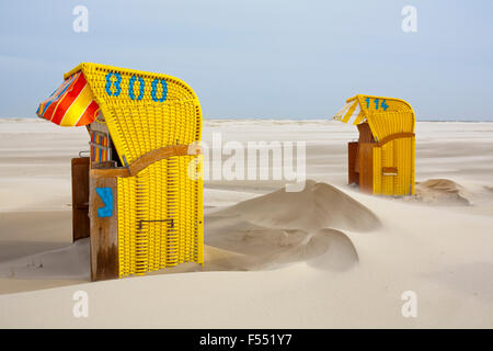 DEU, Germania, Schleswig-Holstein, Mare del Nord, Amrum island, sedie a sdraio in spiaggia Kniepsand in Nebel. DEU, Deutschland, sch Foto Stock