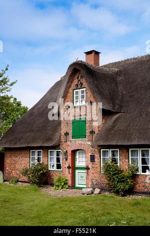 DEU, Germania, Schleswig-Holstein, Mare del Nord, Isola di Amrum, le tonalità Oeoemrang a Nebel. DEU, Germania, Schleswig-Holstein, N. Foto Stock