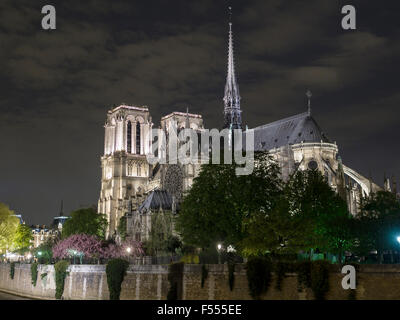 Una illuminata la cattedrale di Notre Dame di tutta la Senna. Il fiume murata costituisce una base per questa sera vista della cattedrale Foto Stock