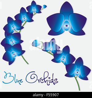 Set di orchidee in formato vettoriale. Illustrazione Vettoriale