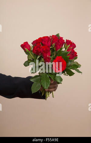 Tagliato a mano rose di contenimento contro sfondo colorato Foto Stock