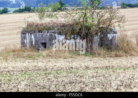 Cecoslovacco fortificazioni difensive pre-belliche costruite sul confine. Dintorni Slavonice, Boemia del Sud, Repubblica Ceca Foto Stock