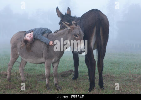 Ritratto di ragazza distesa su donkey in campo nella nebbia meteo Foto Stock