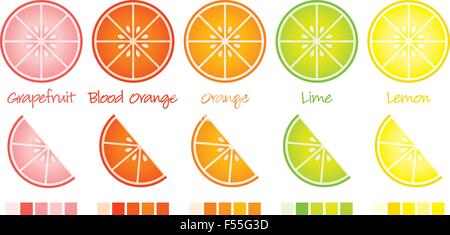Fette di agrumi e cunei in formato vettoriale completo di campioni. Illustrazione Vettoriale