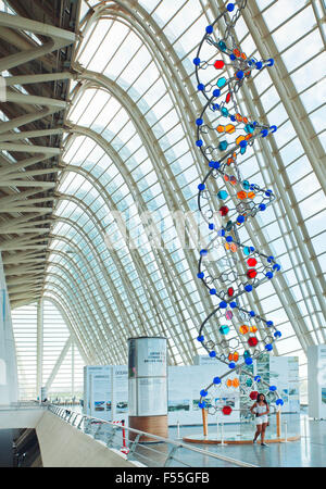 Interno del Príncipe Felipe Science Museum, Città delle Arti e delle Scienze di Valencia, Spagna. Foto Stock