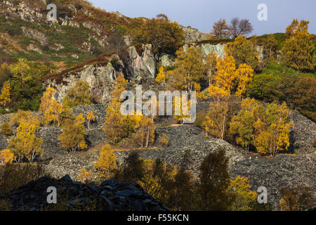 Abbandonate Cave di Ardesia preso in consegna dalla vegetazione ed alberi Foto Stock