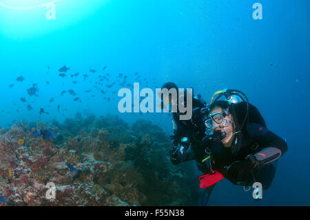 Sett. 23, 2015 - Oceano Indiano, Maldive - Coppia giovane sub nuota in una scuola di pesce gioca con loro, rosso-dentata pesci balestra (Odonus niger), l'Oceano Indiano, Maldive (credito Immagine: © Andrey Nekrasov/ZUMA filo/ZUMAPRESS.com) Foto Stock