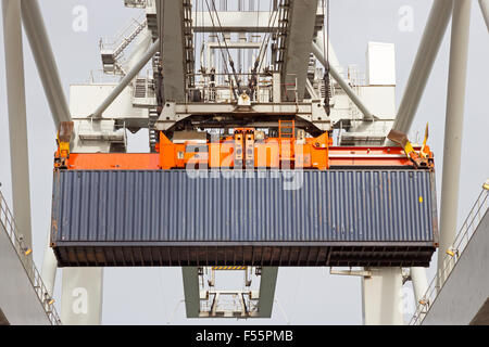 Sea container sollevato da una gru del porto Foto Stock