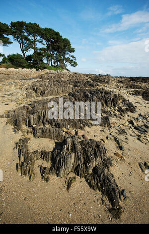 Carantec, Ile Callot, Brittany, Francia. Ottobre 2015 La strada è sommerso ad alta marea, con la bassa marea a piedi il fondo del mare Foto Stock