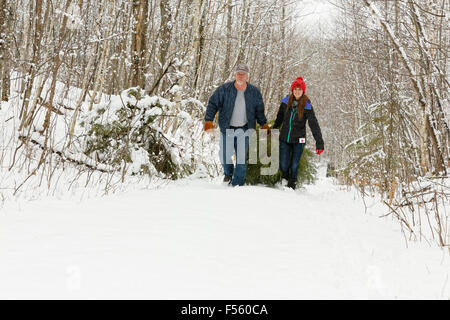 Padre e figlia trascinando un taglio fresco albero di Natale Foto Stock