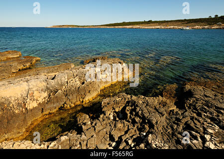 Coste rocciose a Cape Kamenjak, Istria, Croazia Foto Stock