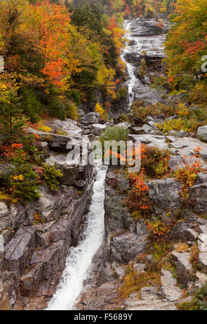 Argento cascata cade in autunno, una cascata in Crawford tacca del parco statale, White Mountains National Forest, New Hampshire USA Foto Stock