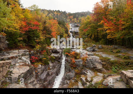 Argento cascata cade in autunno, una cascata in Crawford tacca del parco statale, White Mountains National Forest, New Hampshire USA Foto Stock