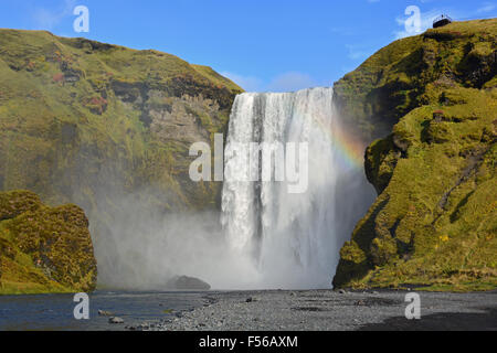 Skogafoss cascata con un arcobaleno, Skogar, Sud Islanda Foto Stock