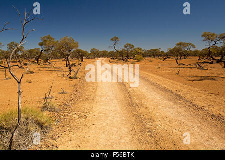 Rosso lungo strada outback attraverso arido paesaggio punteggiato di alberi per lontano orizzonte e cielo blu, western Queensland Foto Stock