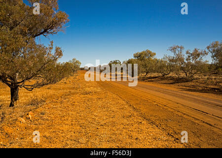 Rosso lungo outback strada sterrata attraverso mulga tree boschi a lontano orizzonte sotto il cielo blu, Western Australia Queensland Foto Stock