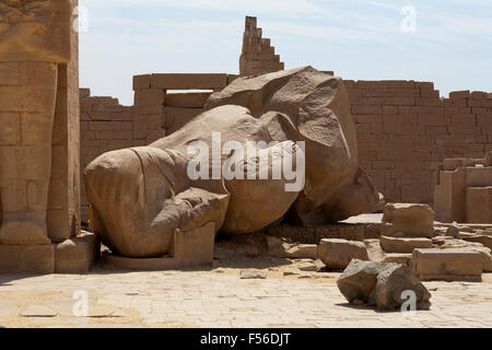 Il colosso caduti al Ramesseum, Tempio mortuario di Ramesse II sulla riva occidentale del Nilo a Luxor, Egitto Foto Stock