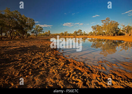 Outback australiano paesaggio durante la siccità con alberi e cielo blu riflessa in superficie a specchio di acqua a oasi al tramonto Foto Stock