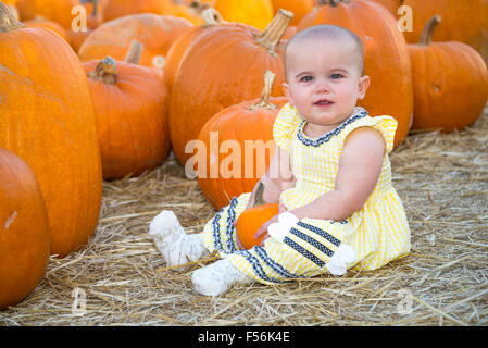 Carino Baby sitting in un orto di zucche Foto Stock