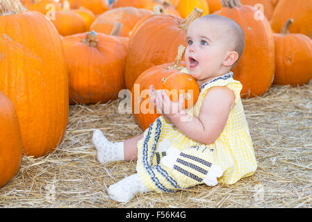 Baby girl tenendo una zucca in un orto di zucche Foto Stock